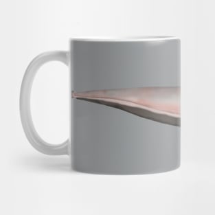 Oxyrhynchus Tube-snouted Ghost Knifefish Mug